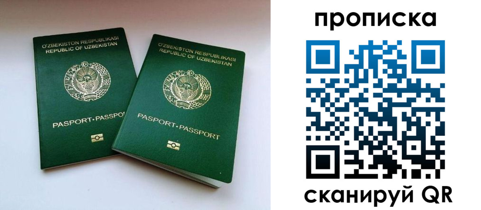 прописка поиск в Владимире